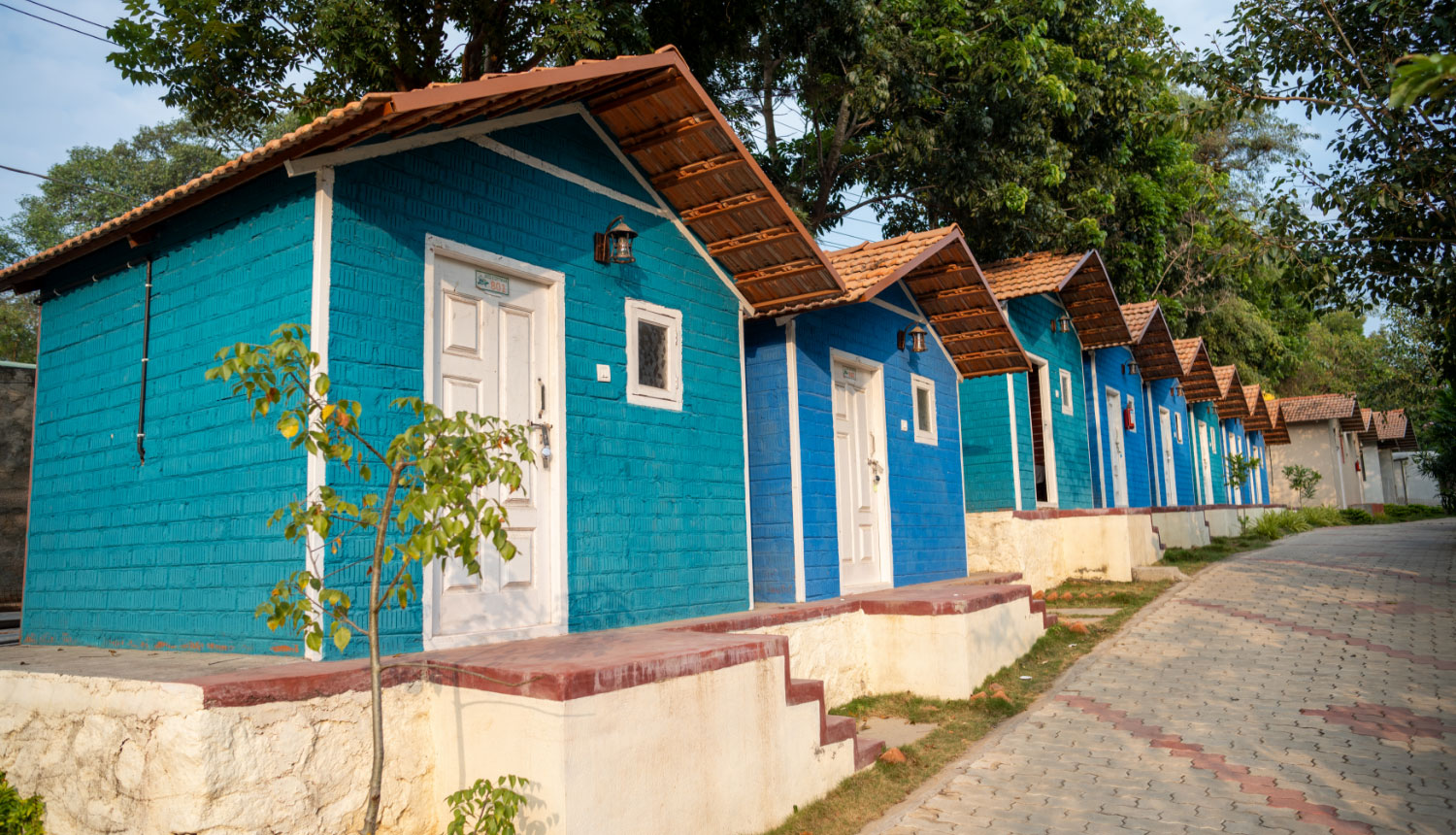 Non-AC Wooden Cottage